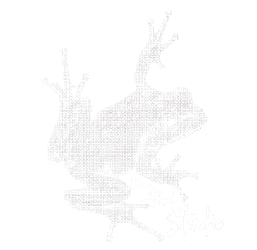 LOGO2 - Modificata